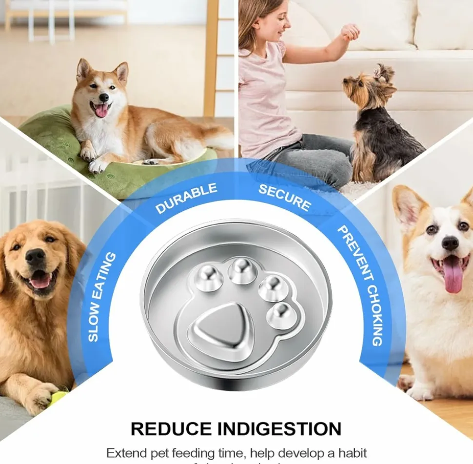 DOWNYPAWS - Gamelle anti-glouton pour chien - inox antidérapant