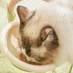 DOWNYPAWS - Gamelle double pour chat avec protection du cou