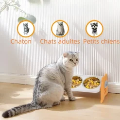 DOWNYPAWS - Gamelles surélevées pour chats et chiens