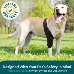 DOWNYPAWS - Genouillèrepourchien: attelledecuisseréglablefixationpostopératoire protectiondesjambesaprèsblessurearticulaire