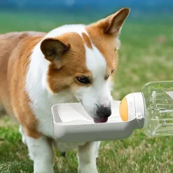 DOWNYPAWS - Gourde pour chien avec nourriture