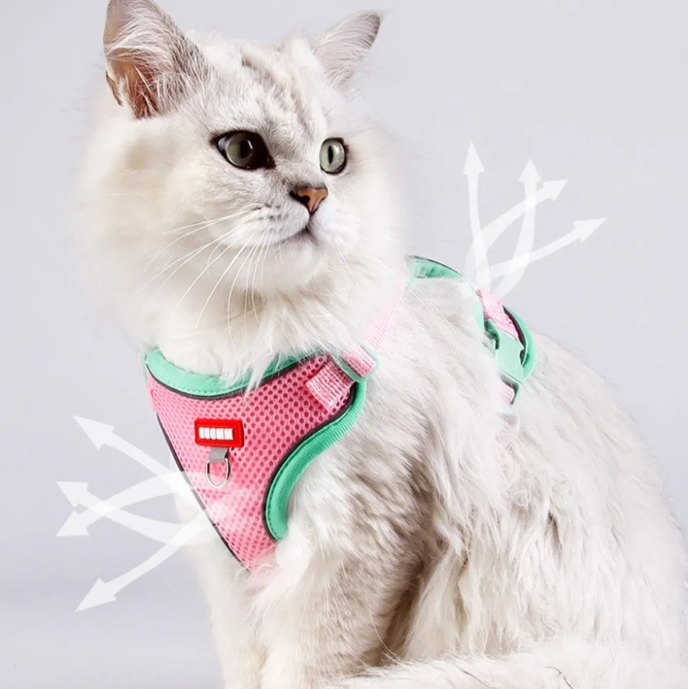 DOWNYPAWS - Harnais avec laisse pour chat m