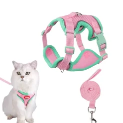 DOWNYPAWS - Harnais avec laisse pour chat s