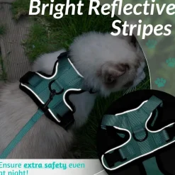 DOWNYPAWS - Harnais et laisse réfléchissants pour chat s