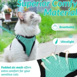 DOWNYPAWS - Harnais et laisse réfléchissants pour chat s