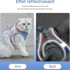 DOWNYPAWS - Harnais pour chat avec laisse et doublure réfléchissante l
