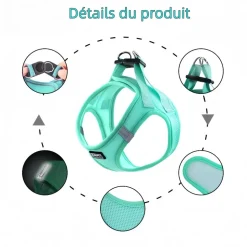 DOWNYPAWS - Harnais pour chats et chiens m