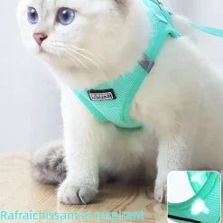 DOWNYPAWS - Harnais pour chats et chiens m