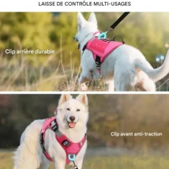 DOWNYPAWS - Harnais pour chien-anneau en d avec poignée- taille m