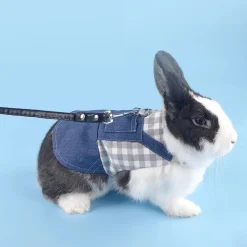 DOWNYPAWS - Harnais pour lapin et chat m