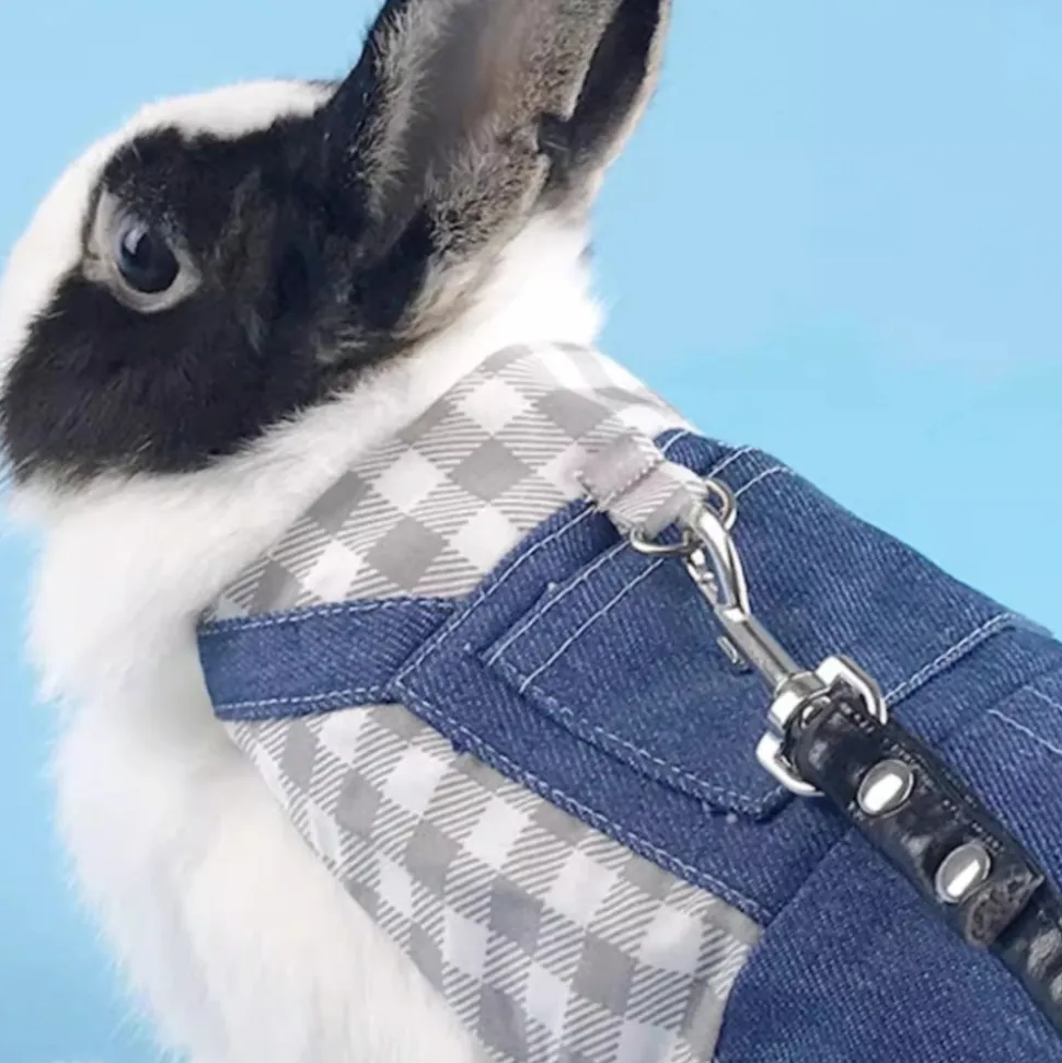 DOWNYPAWS - Harnais pour lapin et chat m