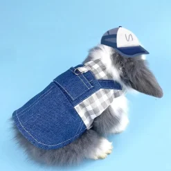 DOWNYPAWS - Harnais pour lapin et chat s