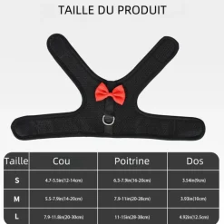 DOWNYPAWS - Harnais pour lapin l
