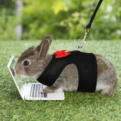 DOWNYPAWS - Harnais pour lapin l