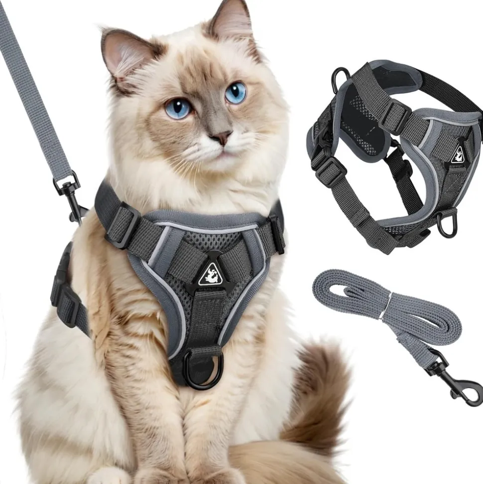 DOWNYPAWS - Harnais réfléchissant réglable pour chat - avec laisse l