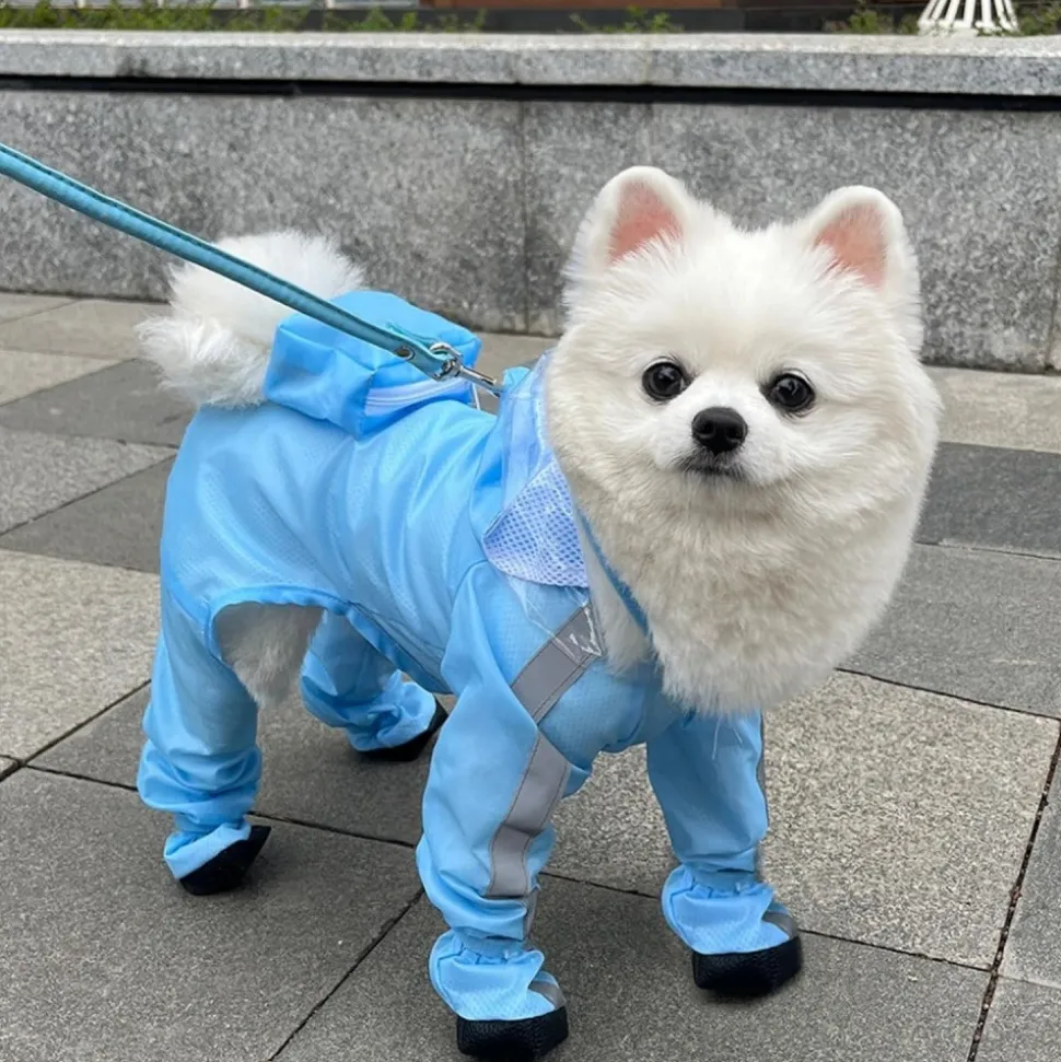 DOWNYPAWS - Imperméable pour chien- avec sac de rangement-taille l : longueur du dos : 37 cm