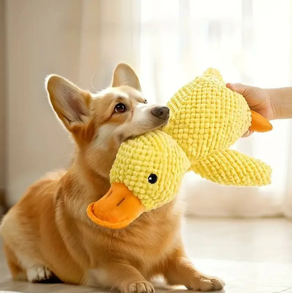 DOWNYPAWS - Jouet Couineur En Peluche En Forme De Canard Pour Chien - Résistant Aux Morsures