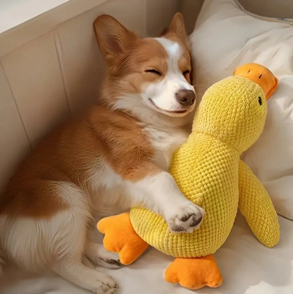 DOWNYPAWS - Jouet Couineur En Peluche En Forme De Canard Pour Chien - Résistant Aux Morsures