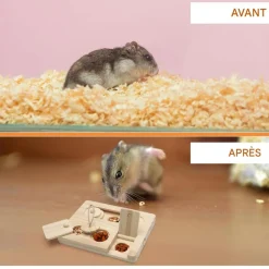 DOWNYPAWS - Jouet de recherche de nourriture - en bois pour cochons d'inde et hamsters