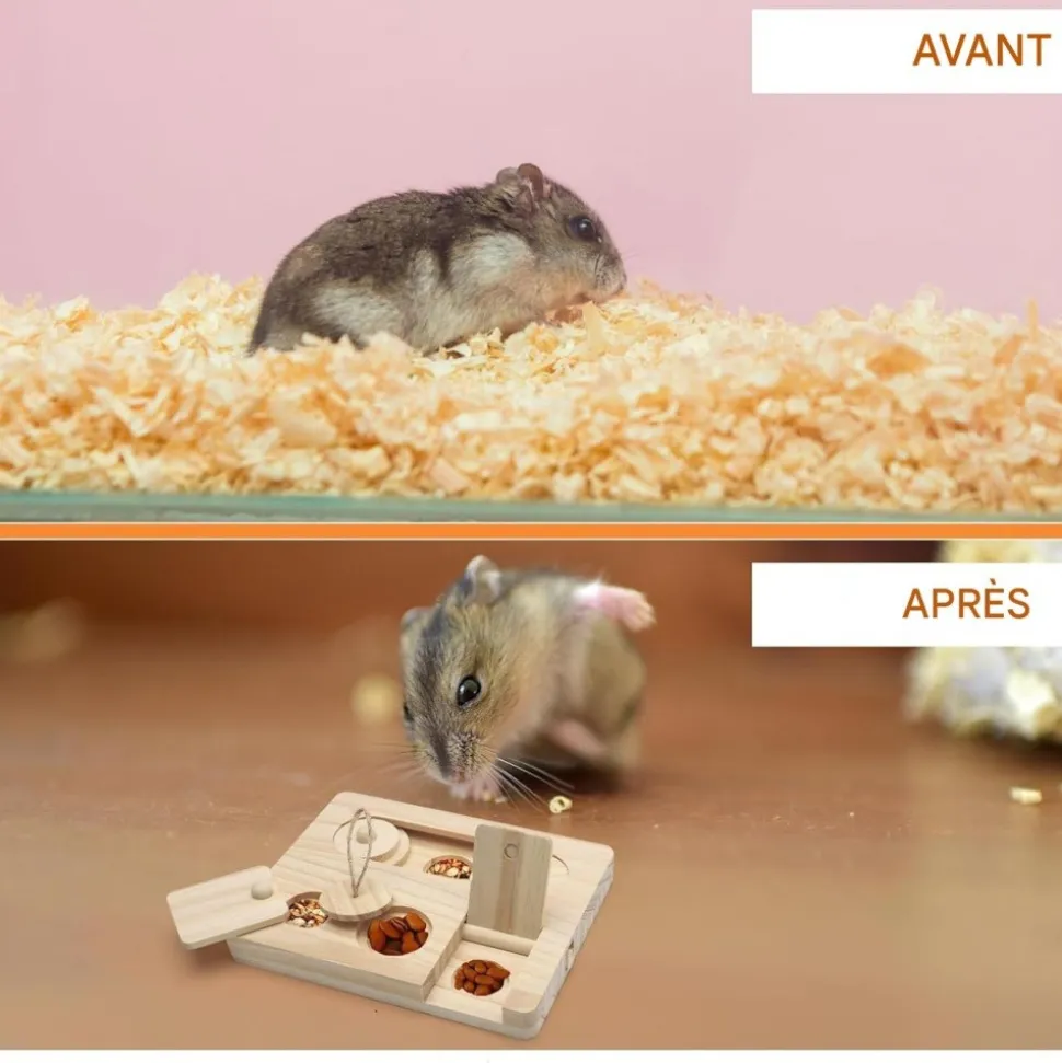DOWNYPAWS - Jouet de recherche de nourriture - en bois pour cochons d'inde et hamsters