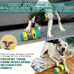 DOWNYPAWS - Jouet Interactif Distributeur De Friandises Pour Chien - Balle De Santé Dentaire Résistante