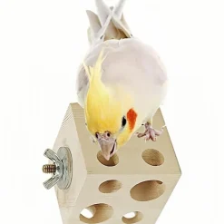 DOWNYPAWS - Jouet à mâcher - en bois de pin, avec trous, durable