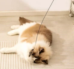 DOWNYPAWS - Jouet pour chat : plumes d'oiseau artificielles outil de détente pour chats