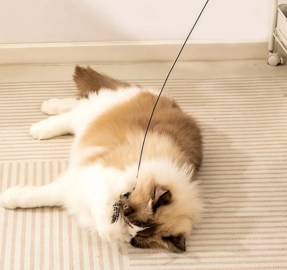 DOWNYPAWS - Jouet pour chat : plumes d'oiseau artificielles outil de détente pour chats