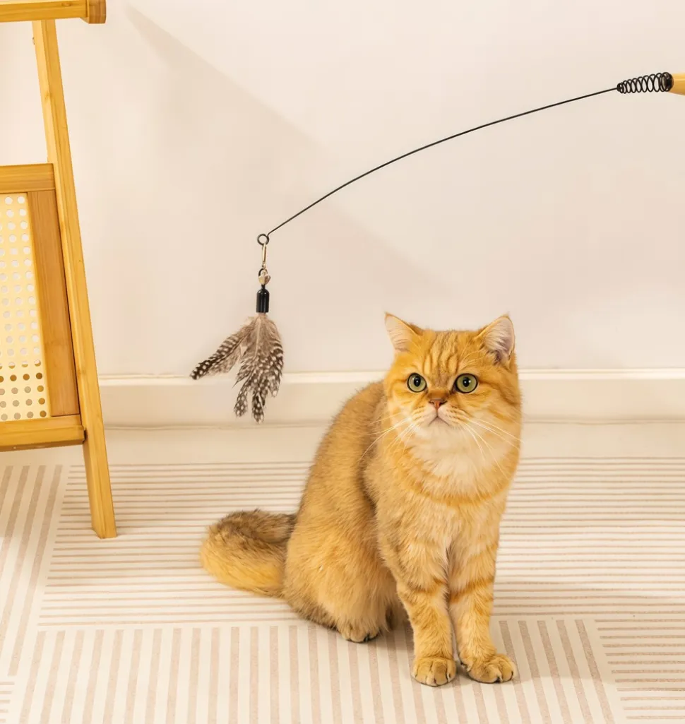 DOWNYPAWS - Jouet pour chat : plumes d'oiseau artificielles outil de détente pour chats