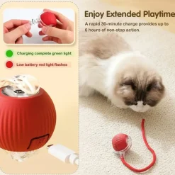 DOWNYPAWS - Jouet à Rouler Automatique Et Rechargeable Par USB Pour Chat