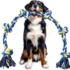 DOWNYPAWS - Jouets de tir à la corde
