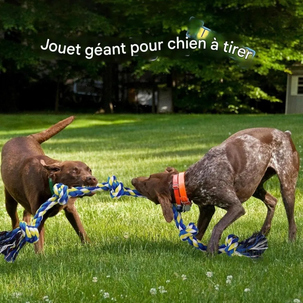 DOWNYPAWS - Jouets de tir à la corde