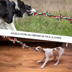 DOWNYPAWS - Jouets de tir à la corde