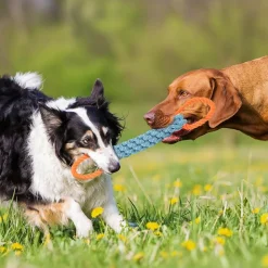 DOWNYPAWS - Jouets en corde, jouets de tir à la corde atténuation de l'anxiété, matériau durable, bonne dimension, conception fonctionnelle