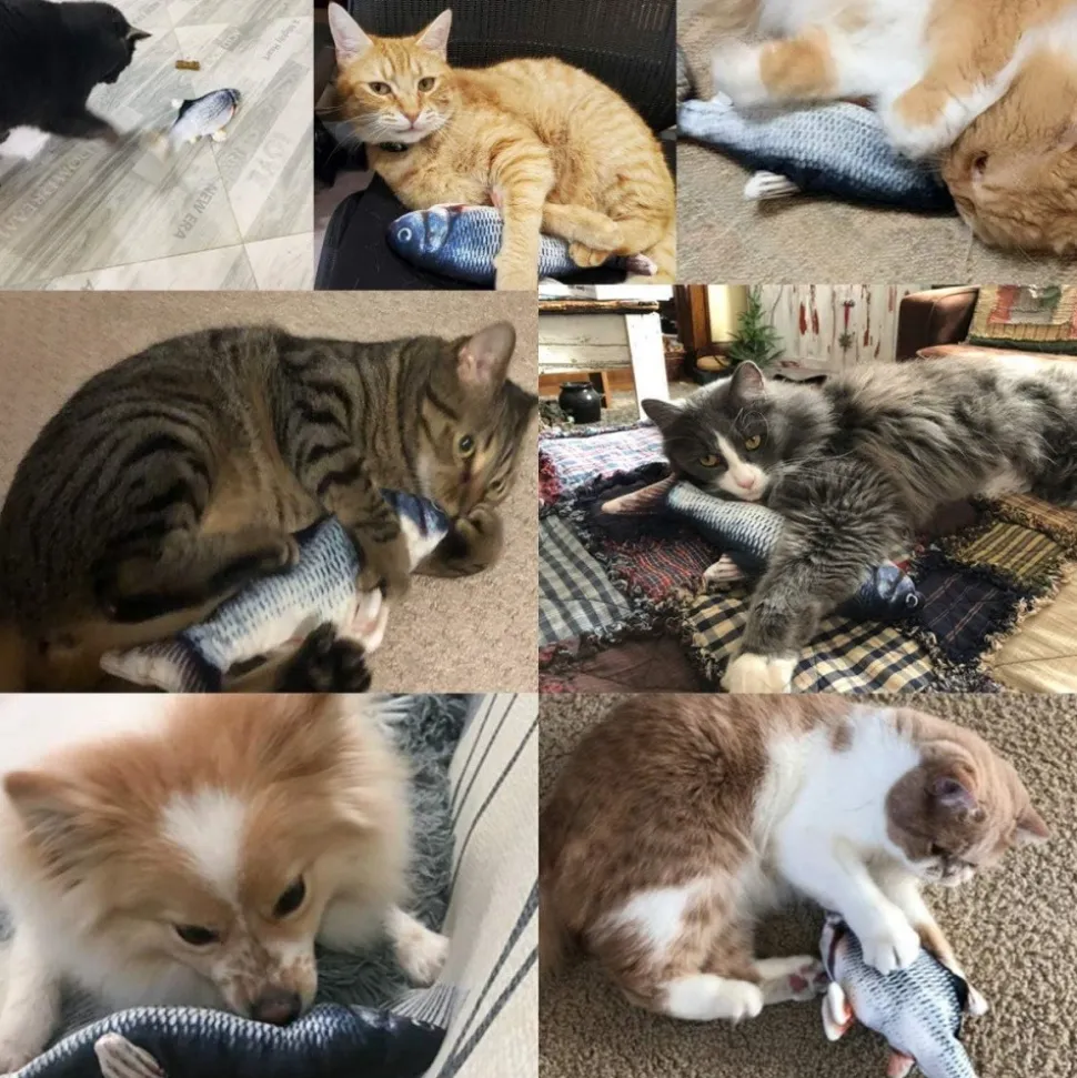 DOWNYPAWS - Jouets interactifs pour chats-jouet électrique en forme de poisson