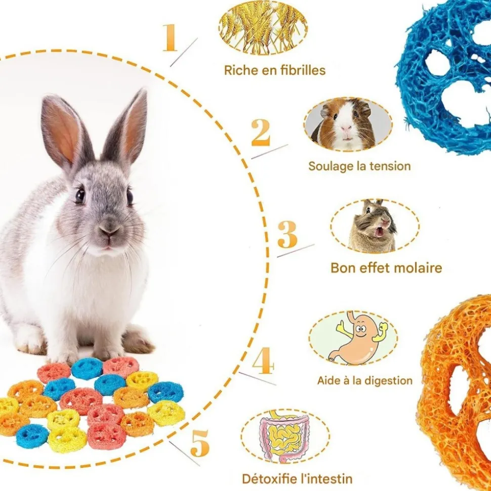 DOWNYPAWS - Jouets à mâcher - 20 pièces luffa naturel couleur aléatoire