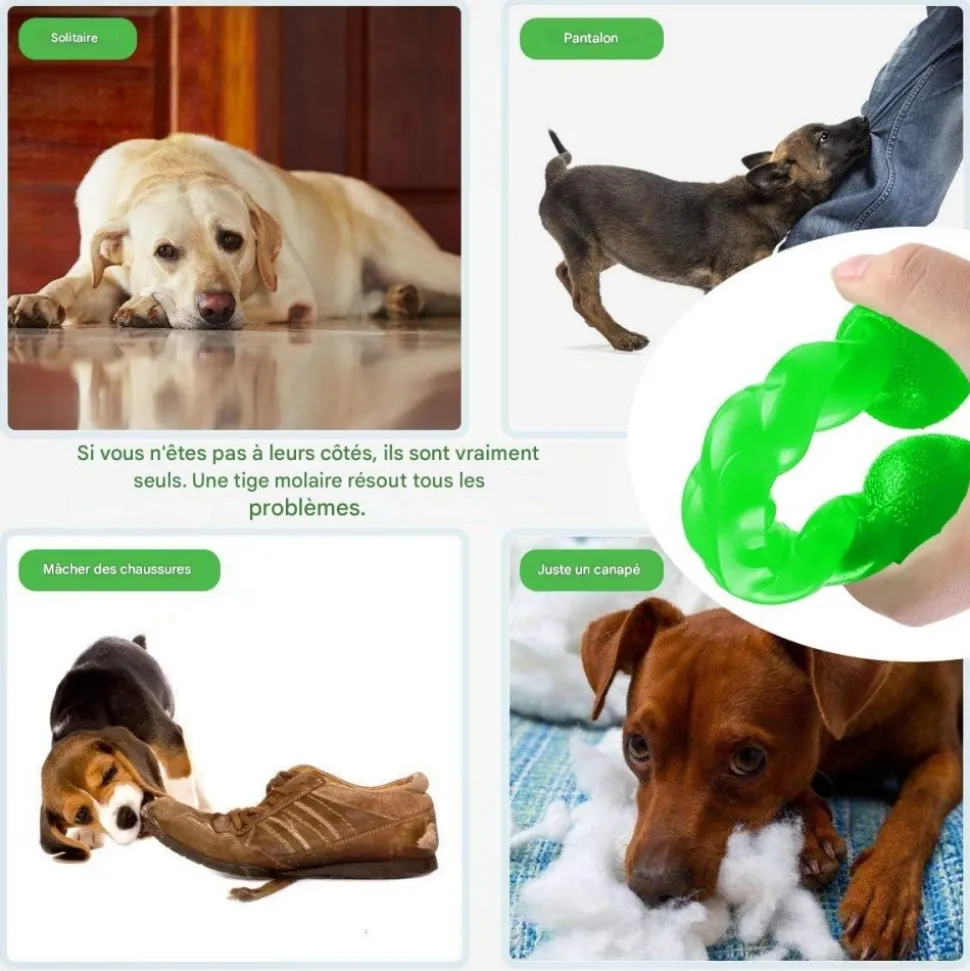 DOWNYPAWS - Jouets à mâcher pour chiens- forme d'os -grand verthygiène dentaire