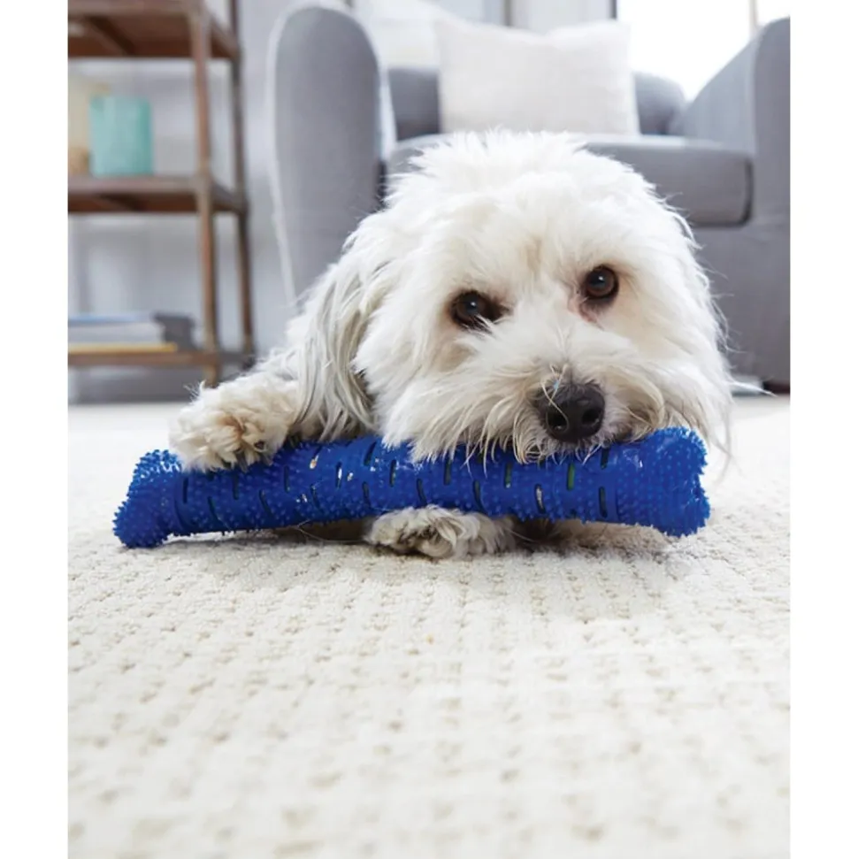 DOWNYPAWS - Jouets à mâcher pour chiens-jouet os à mâcher pour chienamovible-bleu 26*5*5cm