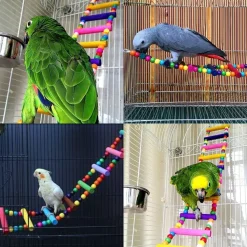 DOWNYPAWS - Jouets pour oiseaux