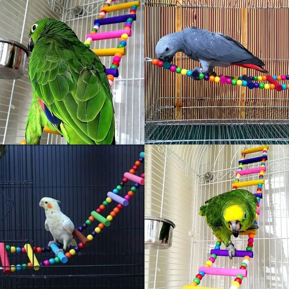 DOWNYPAWS - Jouets pour oiseaux