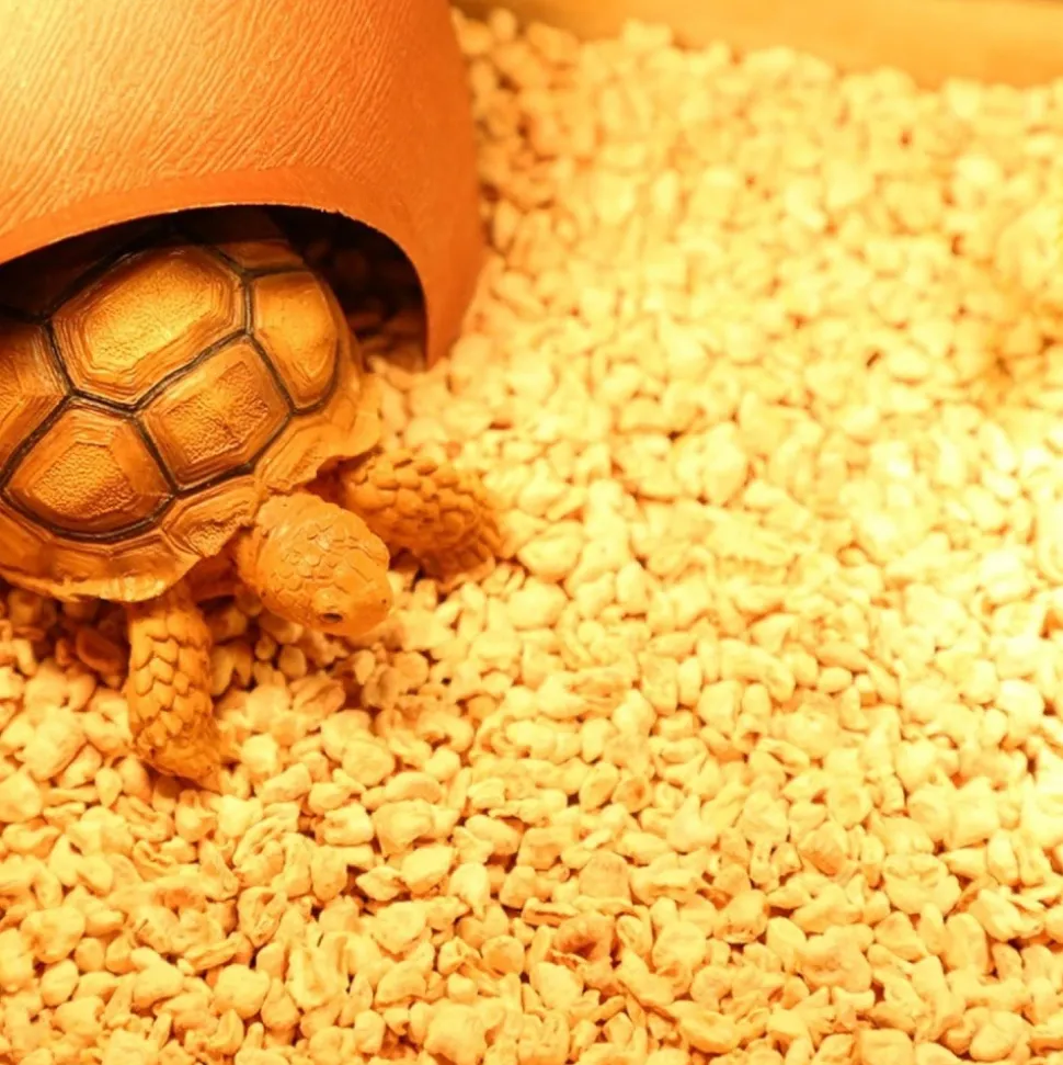 DOWNYPAWS - Litière - granulés d'épis de maïs naturels sans poussière