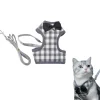 DOWNYPAWS - Lit pour chat