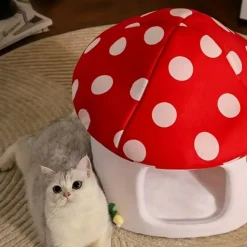 DOWNYPAWS - Lits Pour Chat En Forme De Champignon, Vache Et Chocolat