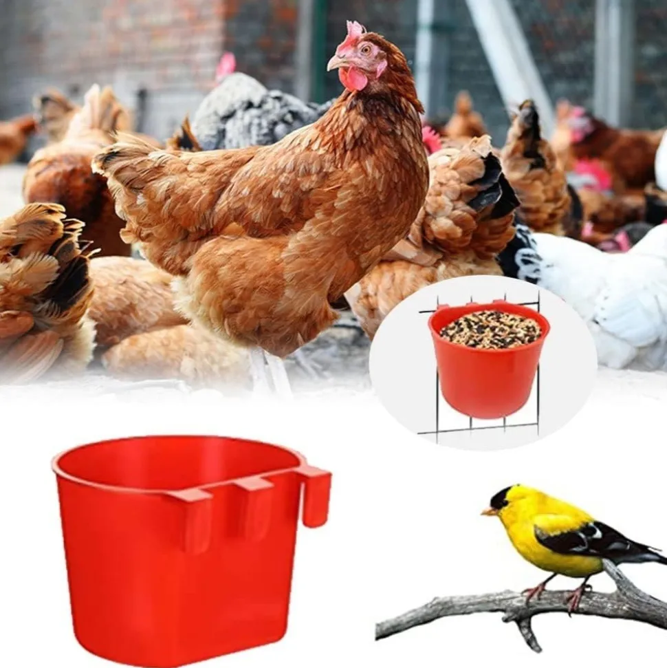 DOWNYPAWS - Lot de 20 bols d'alimentation et abreuvoirs pour cage d'oiseaux
