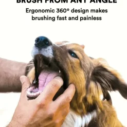 DOWNYPAWS - Lot de 4 brosses à dents ultra - douces pour chiens et chats