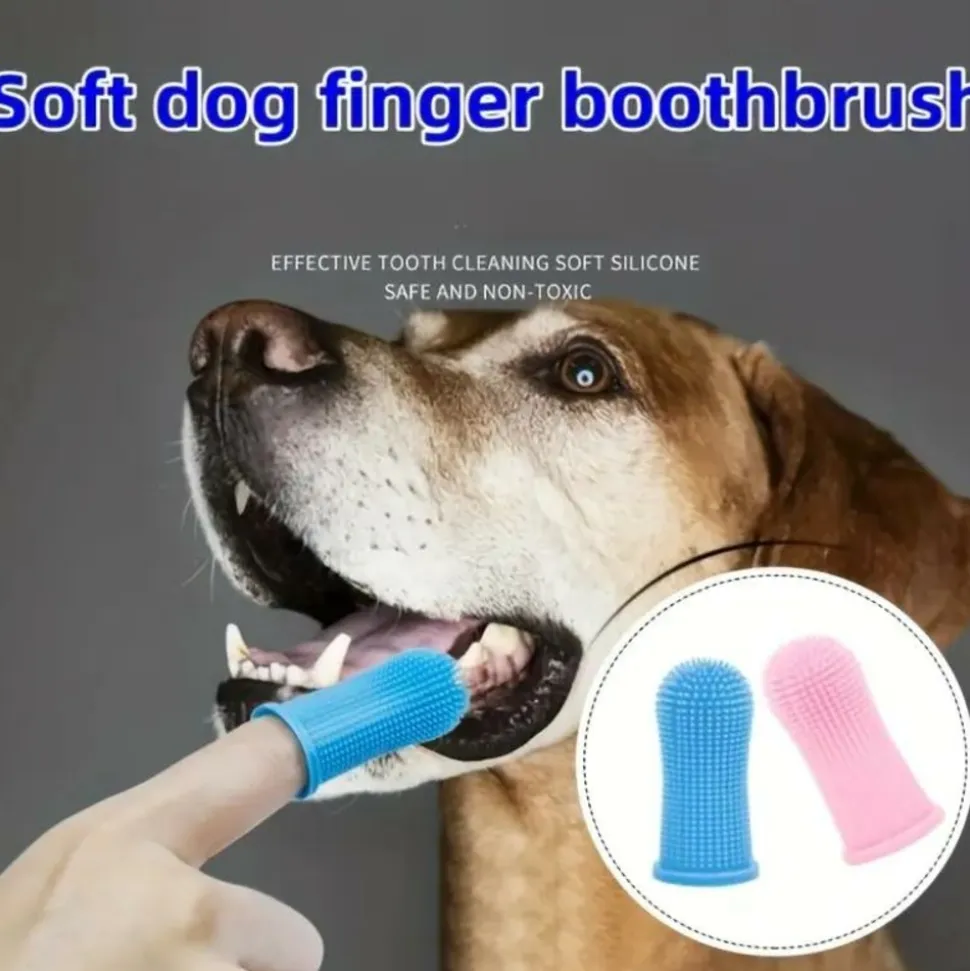 DOWNYPAWS - Lot de 4 brosses à dents ultra - douces pour chiens et chats