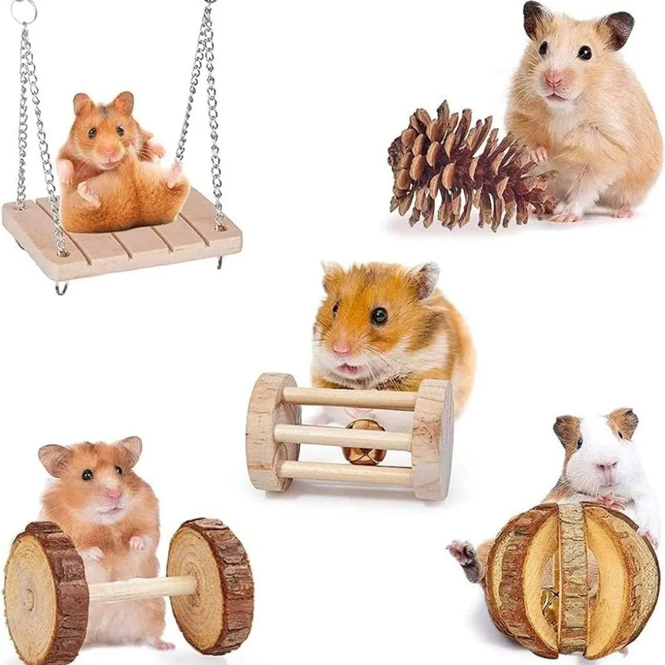 DOWNYPAWS - Lot de jouets - jeu molaire en bois