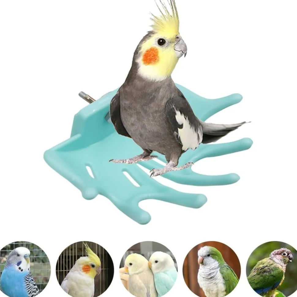 DOWNYPAWS - Lot de 3 perchoirs pour cage d'oiseaux