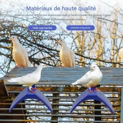 DOWNYPAWS - Lot de 20 supports pour pigeons