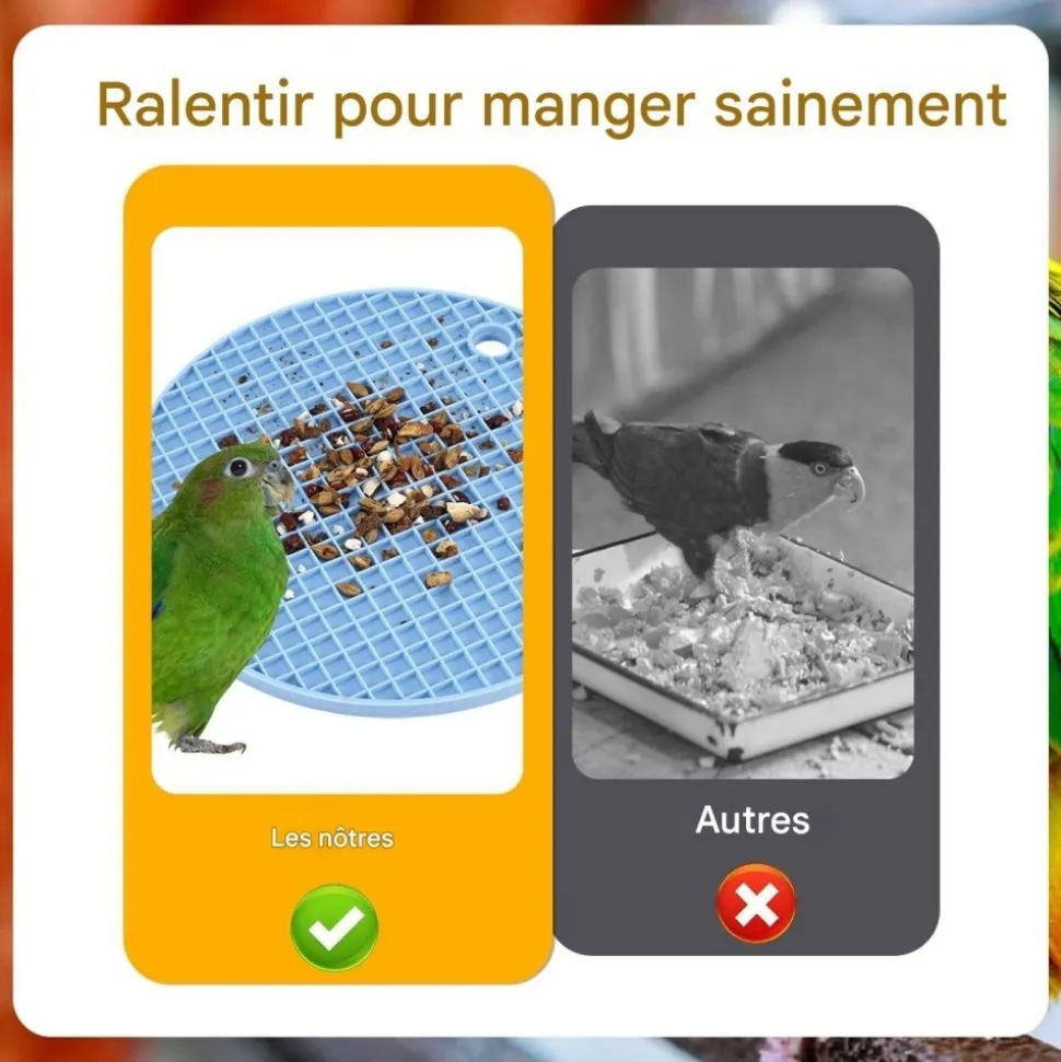DOWNYPAWS - Lot de 2 tapis d'alimentation lente pour oiseaux